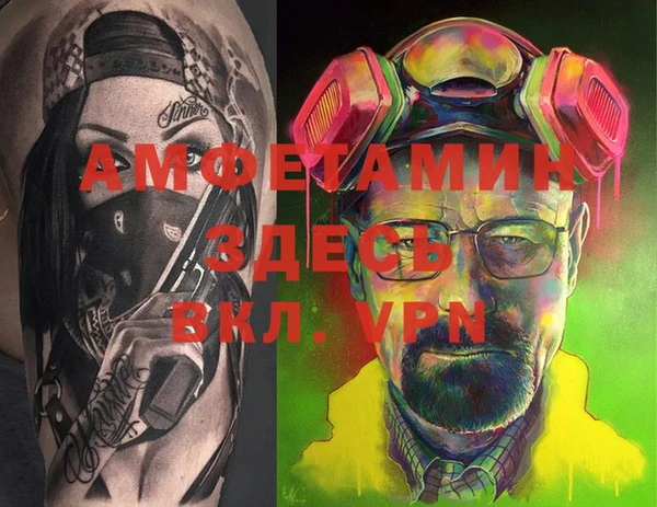 хмурый Алексин